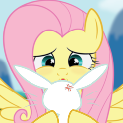 Size: 4000x4000 | Tagged: safe, artist:juniberries, angel bunny, fluttershy, pegasus, pony, rabbit, g4, animal, cross-popping veins, female, imminent kissing, kissing, male, ship:angelshy, shipping, show accurate, straight