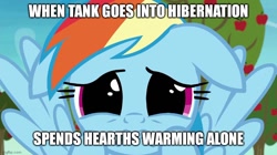 Size: 888x499 | Tagged: safe, edit, edited screencap, screencap, rainbow dash, pegasus, pony, g4, grannies gone wild, caption, female, floppy ears, image macro, implied tank, looking at you, mare, sad, solo, text