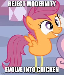 Size: 500x585 | Tagged: safe, edit, edited screencap, screencap, scootaloo, sweetie belle, bird, chicken, g4, season 1, stare master, caption, carousel boutique, cropped, image macro, meme, offscreen character, scootachicken, solo focus, text