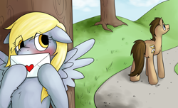 Size: 3797x2311 | Tagged: safe, artist:derpybloo, derpy hooves, doctor whooves, time turner, earth pony, pegasus, pony, g4, bipedal, blushing, cute, derpabetes, duo, female, floppy ears, fluffy, hiding, high res, letter, love letter, male, mare, nervous, ship:doctorderpy, shipping, shy, spread wings, stallion, straight, wings