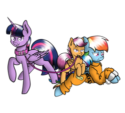 Size: 1000x900 | Tagged: safe, artist:spirit-dude, rainbow dash, scootaloo, twilight sparkle, alicorn, pegasus, pony, g4, b-f16, bondage, bound wings, chains, clothes, collar, cuffs, dashsub, female, femsub, filly, leash, looking at you, mare, pet play, pettwi, prison outfit, prisoner rd, scootadom, shackles, simple background, smug, submissive, transparent background, trio, twilight sparkle (alicorn), wings