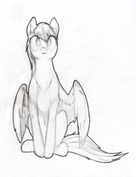 Size: 3042x3961 | Tagged: safe, artist:foxtrot3, oc, oc only, oc:light winds, pegasus, pony, female, high res, mare, solo, traditional art