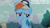 Size: 1280x720 | Tagged: safe, edit, edited screencap, editor:quoterific, screencap, rainbow dash, pegasus, pony, g4, may the best pet win, season 2, cap, coach rainbow dash, female, hat, mare, solo