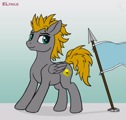 Size: 3000x2856 | Tagged: safe, artist:eltaile, oc, oc only, oc:platinumdrop, pegasus, pony, equestria, flag, high res, male, solo, spear, weapon