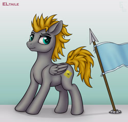 Size: 3000x2856 | Tagged: safe, artist:eltaile, oc, oc only, oc:platinumdrop, pegasus, pony, equestria, flag, high res, male, solo, spear, weapon