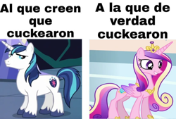 Size: 720x487 | Tagged: safe, princess cadance, shining armor, g4, implied infidelity, meme, princess cuckdance, spanish, translated in the comments, unshorn fetlocks