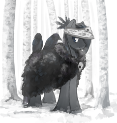 Size: 2651x2782 | Tagged: safe, artist:anonymous, oc, oc only, bird, pony, raven (bird), yakutian horse, breath, cloak, clothes, female, forest, high res, mare, skull, snow, snow mare, solo, tree, visor