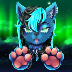 Size: 3000x3000 | Tagged: safe, artist:okidouchie, oc, oc only, oc:moonshine, wolf, :p, aurora borealis, claws, cloud, collar, ear piercing, earring, floating head, furry, high res, jewelry, paw pads, paws, piercing, solo, stars, tongue out