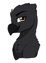 Size: 854x1163 | Tagged: safe, artist:zahsart, oc, oc only, griffon, chest fluff, griffon oc, lidded eyes, looking at you, rule 63, simple background, smiling, solo, white background