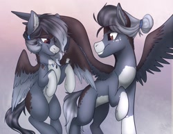 Size: 2159x1668 | Tagged: safe, artist:zahsart, oc, oc only, pegasus, pony