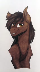 Size: 675x1200 | Tagged: safe, artist:zahsart, oc, oc only, earth pony, pony, solo