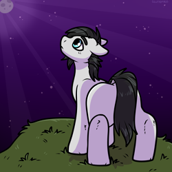 Size: 2000x2000 | Tagged: oc name needed, safe, artist:sexygoatgod, oc, oc only, earth pony, pony, high res, male, night, solo