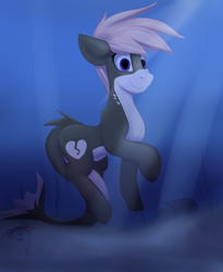 Size: 2800x3409 | Tagged: safe, artist:observerdoz, oc, oc only, oc:shany, original species, shark, shark pony, blue eyes, crepuscular rays, dorsal fin, fish tail, high res, ocean, rock, smiling, solo, tail, underwater, water