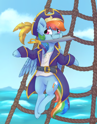 Size: 3300x4200 | Tagged: safe, artist:fanaticpanda, rainbow dash, pegasus, pony, g4, clothes, female, hat, jacket, mare, mouth hold, ocean, pirate, pirate hat, pirate rainbow dash, solo, sword, weapon