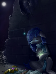 Size: 2700x3600 | Tagged: artist needed, safe, oc, oc only, oc:turbulent wave, earth pony, firefly (insect), insect, pony, armor, flag, guard, high res, knight, male, moon, night, sad, sitting, solo