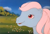 Size: 2027x1362 | Tagged: safe, screencap, wind whistler, pegasus, pony, g1, my little pony 'n friends, the great rainbow caper, adorable face, cute, female, land, majestic, mare, ponyland, smiling, solo, talking, whistlerbetes