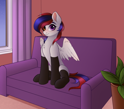 Size: 3881x3408 | Tagged: safe, artist:vetta, oc, oc only, oc:lonny night, pegasus, pony, black socks, clothes, couch, female, heterochromia, high res, looking at you, mare, sitting, socks, solo, spread wings, window, wings