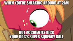 Size: 888x499 | Tagged: safe, edit, edited screencap, screencap, big macintosh, earth pony, pony, g4, hard to say anything, season 7, caption, freckles, green eyes, image macro, looking at something, male, orange hair, orange mane, red coat, red fur, red pony, relatable, scared, solo, stallion, sweat, text