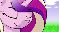 Size: 1024x561 | Tagged: safe, alternate version, artist:ljdamz1119, princess cadance, alicorn, pony, g4, bust, close-up, cloud, digital art, eyes closed, female, grass, i see you're a man of culture as well, mare, meme, meme template, ponified meme, portrait, smiling, solo, textless edit