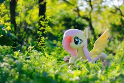 Size: 1296x864 | Tagged: safe, artist:nekokevin, fluttershy, pegasus, pony, g4, forest, irl, lying down, nature, outdoors, photo, plushie, prone, spread wings, tree, wings