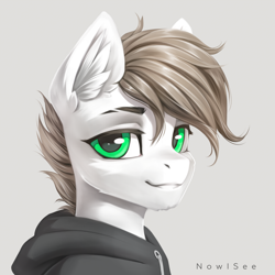 Size: 4000x4000 | Tagged: safe, artist:inowiseei, oc, oc only, oc:alex, pony, absurd resolution, bust, clothes, hoodie, male, portrait, solo, stallion