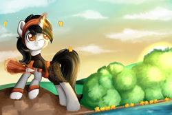 Size: 1280x854 | Tagged: safe, artist:appleneedle, oc, oc:gian, butterfly, pony, unicorn, clothes, costume, knight, nature