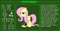 Size: 11720x6000 | Tagged: safe, artist:andoanimalia, artist:php170, fluttershy, pegasus, pony, fallout equestria, g4, bio, clothes, cute, fallout, fallout equestria: character guide, female, jumpsuit, mare, pipboy, reference sheet, s.p.e.c.i.a.l., shyabetes, solo, vault suit, vector