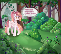 Size: 2501x2201 | Tagged: safe, artist:ske, oc, oc only, pegasus, pony, blueberry, cyrillic, female, food, forest, high res, mare, russian, solo, trade, translated in the comments, wings