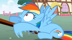 Size: 1246x710 | Tagged: safe, screencap, rainbow dash, pegasus, pony, applebuck season, g4, season 1, female, mare, open mouth, shocked, shocked expression, solo, spread wings, wings