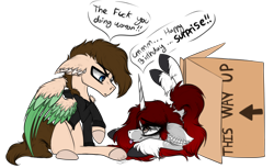 Size: 1118x683 | Tagged: safe, artist:beamybutt, oc, pegasus, pony, unicorn, :p, box, clothes, dialogue, duo, ear fluff, female, frown, horn, male, mare, pegasus oc, pony in a box, simple background, stallion, tongue out, transparent background, unicorn oc, wings