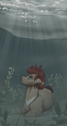 Size: 1026x1920 | Tagged: safe, artist:royvdhel-art, oc, oc only, earth pony, pony, blue eyes, bubble, crepuscular rays, earth pony oc, flowing mane, lake, looking up, lying down, male, outdoors, quick draw, red mane, seaweed, solo, stallion, sunlight, underwater, water