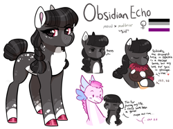 Size: 2380x1768 | Tagged: safe, artist:moccabliss, oc, oc:obsidian echo, oc:wood wren, dragon, earth pony, pony, asexual, asexual pride flag, female, mare, offspring, parent:maud pie, parent:mud briar, parents:maudbriar, pride, pride flag, simple background, white background