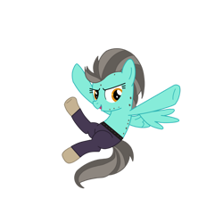Size: 1280x1281 | Tagged: safe, artist:chanyhuman, lightning dust, pegasus, pony, g4, antagonist, clothes, cosplay, costume, crossover, description, dreamworks, female, flying, kicking, kung fu panda, kung fu pony, simple background, solo, tai lung, transparent background, vector, villainess