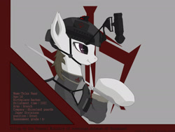 Size: 1920x1440 | Tagged: source needed, safe, artist:panze boom, oc, oc only, oc:telax, bat pony, pony, arms, clothes, photo, reference sheet, soldier, solo, sword, uniform, war, weapon