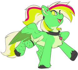 Size: 1991x1796 | Tagged: safe, artist:beardie, oc, oc only, oc:gumdrops, pegasus, pony, 2022 community collab, derpibooru community collaboration, chest fluff, clothes, collar, colored ear fluff, colored hooves, colored wings, ear fluff, ear piercing, earring, eye clipping through hair, eyebrows, eyebrows visible through hair, female, fishnet stockings, freckles, green coat, green eyes, heart, heart collar, heart earring, jewelry, looking at you, mare, multicolored wings, no pupils, open mouth, open smile, pale belly, pegasus oc, piercing, raised hoof, simple background, smiling, smiling at you, solo, spread wings, standing on two hooves, tail, transparent background, two toned tail, unshorn fetlocks, wings