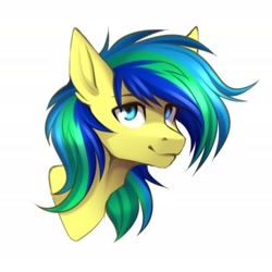 Size: 2362x2362 | Tagged: safe, artist:buvanybu, oc, oc only, pony, high res, simple background, solo, white background