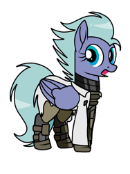 Size: 768x1024 | Tagged: safe, artist:windy breeze, oc, oc only, oc:windy evergood, pegasus, pony, 2022 community collab, derpibooru community collaboration, fallout equestria, clothes, enclave, grand pegasus enclave, shading, simple background, solo, torn clothes, transparent background
