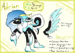 Size: 3597x2545 | Tagged: safe, artist:beamybutt, oc, oc:adrian, pony, ear fluff, high res, hoof fluff, male, raised hoof, reference sheet, stallion, wings