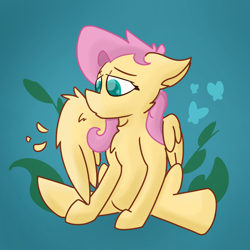 Size: 1500x1500 | Tagged: safe, artist:antimationyt, fluttershy, pegasus, pony, g4, chest fluff, female, grooming, mare, one wing out, partial background, preening, sitting, solo, three quarter view, wings