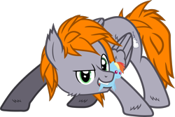 Size: 3706x2481 | Tagged: safe, artist:php178, derpibooru exclusive, rainbow dash, oc, oc only, oc:dreamy orange, pegasus, pony, 2022 community collab, derpibooru community collaboration, .svg available, butt fluff, cheek fluff, cutie mark, determined smile, dreamworks face, ear fluff, face down ass up, fluffy, folded wings, gray, green eyes, grin, high res, hoof fluff, inkscape, looking at you, male, mouth hold, orange (color), pegasus oc, plushie, pointy ponies, simple background, smiling, smiling at you, solo, stallion, stance, standing, svg, transparent background, vector, wing fluff, wings