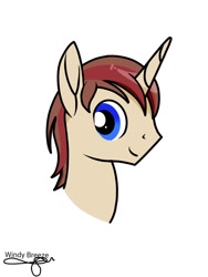 Size: 768x1024 | Tagged: safe, artist:windy breeze, oc, oc only, pony, unicorn, bust, looking at you, male, shading, signature, simple background, smiling, smiling at you, solo, stallion, white background