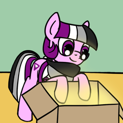 Size: 800x800 | Tagged: safe, artist:thedragenda, oc, oc only, oc:ace, earth pony, pony, ask-acepony, box, female, mare, solo