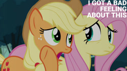 Size: 1280x720 | Tagged: safe, edit, edited screencap, editor:quoterific, screencap, applejack, fluttershy, earth pony, pegasus, pony, g4, maud pie (episode), my little pony: friendship is magic, season 4, applejack's hat, cowboy hat, female, hat, mare, open mouth