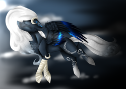 Size: 2461x1741 | Tagged: safe, artist:lunciakkk, oc, oc only, oc:cielo, pony, chest fluff, commission, solo
