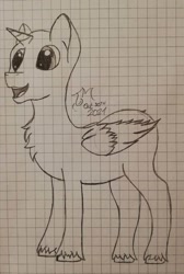 Size: 640x951 | Tagged: safe, artist:toli mintdrop, alicorn, pony, base, chest fluff, graph paper, male, pencil drawing, pony base, sketch, solo, stallion, traditional art, unshorn fetlocks