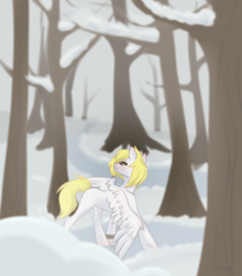 Size: 1900x2160 | Tagged: safe, oc, oc only, oc:ludwig von leeb, pegasus, pony, blonde hair, blushing, clock, forest, glasses, green eyes, looking at you, male, snow, solo, stallion, tree, wings, winter