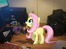 Size: 3264x2448 | Tagged: safe, artist:mlptmntfan2000, fluttershy, pony, g4, cute, daaaaaaaaaaaw, high res, irl, photo, ponies in real life, shyabetes, solo