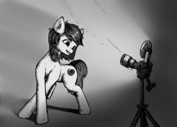 Size: 2105x1511 | Tagged: safe, artist:vickyvoo, oc, oc only, oc:pyrebelle, earth pony, pony, black and white, camera, cutie mark, grayscale, monochrome, photo, sketch, smiling, solo
