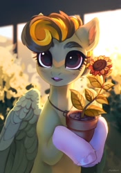 Size: 756x1080 | Tagged: safe, artist:myscherri, oc, oc only, pegasus, pony, coat markings, countershading, cute, flower, flower pot, ocbetes, socks (coat markings), solo, spread wings, sunflower, wings