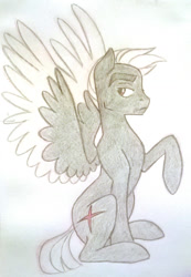 Size: 1130x1632 | Tagged: safe, artist:thepurpah, oc, oc only, oc:stormtrotter, pegasus, pony, colored wings, male, raised hoof, sitting, solo, stallion, traditional art, two toned wings, wings